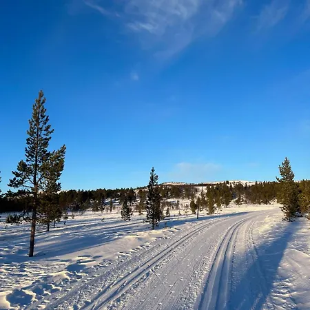 Dom wakacyjny New In Beautiful Surroundings Oppdal